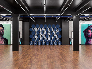 TRIX Art Place 250 m2